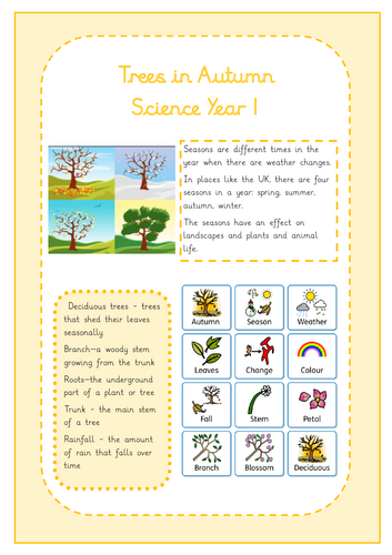 Year 1 Science Autumn Knowledge Organiser