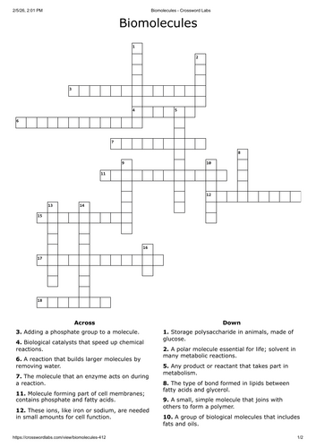 Biomolecules crossword - A LEVEL Biology