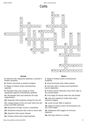 Cells crossword - A level biology
