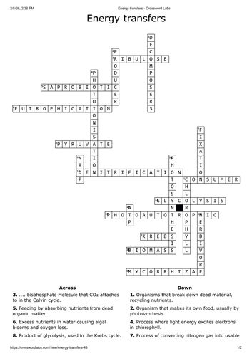 Energy transfers crossword - A level biology