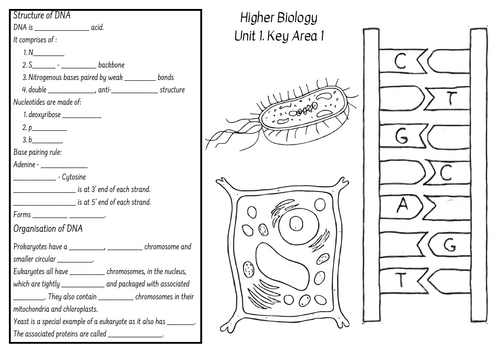 Higher Biology Knowledge Organiser Unit 1
