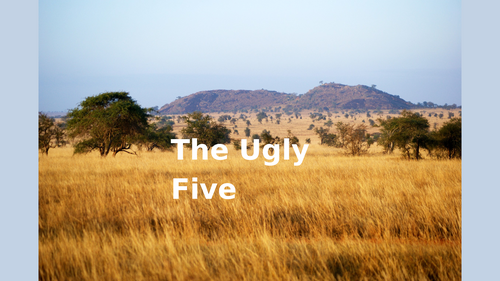 EYFS - The Ugly Five - Quick Powerpoint