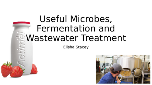 Waste Water Treatment: From Sewage to Clean Water (GCSE Biology)