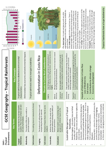 Living World - Costa Rica