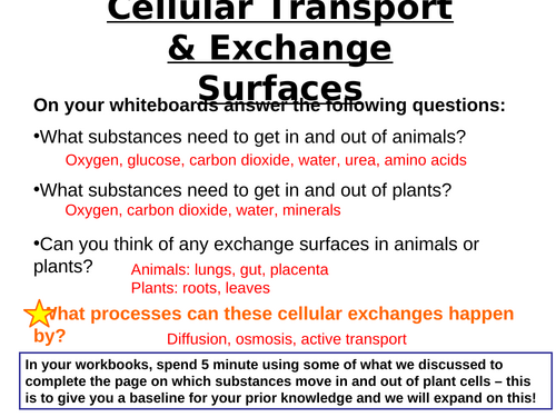 AQA GCSE Biology - B1 - Diffusion