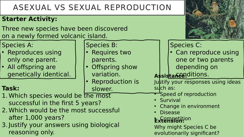 Asexual vs Sexual Reproduction Lesson PowerPoint