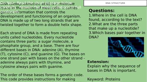 DNA Structure Lesson PowerPoint