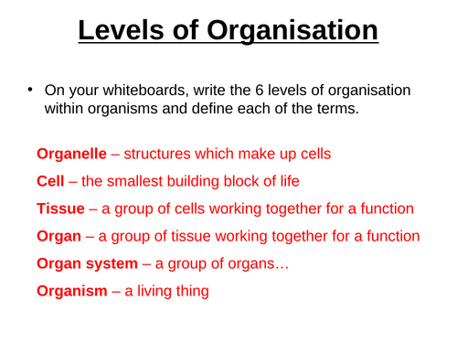 AQA GCSE Biology - B3 - Digestive System
