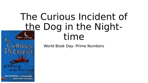 World Book Day- Curious Incident of the Dog in the Night-time Prime Numbers