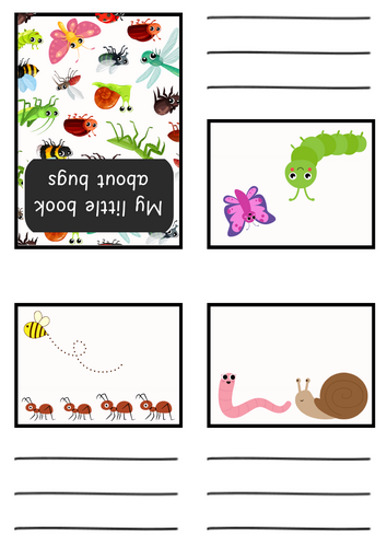 My little book about bugs/life cycle of a butterfly