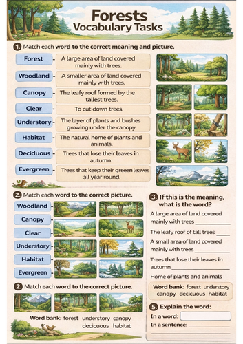 Forest Vocabulary task