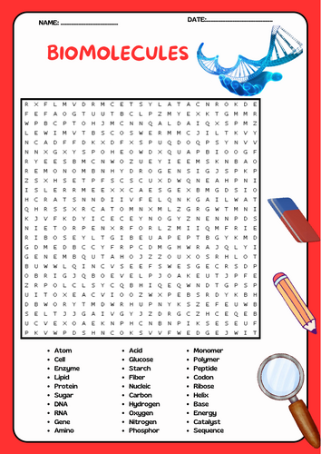 Biomolecules Word Search Puzzle Worksheet Activity
