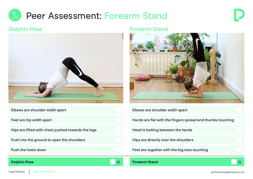FREE Forearm Stand Peer Assessment Card