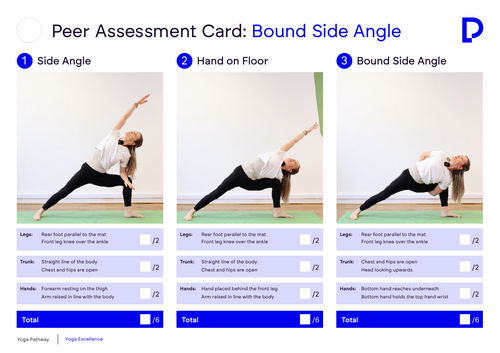 Bound Side Angle Peer Assessment Card