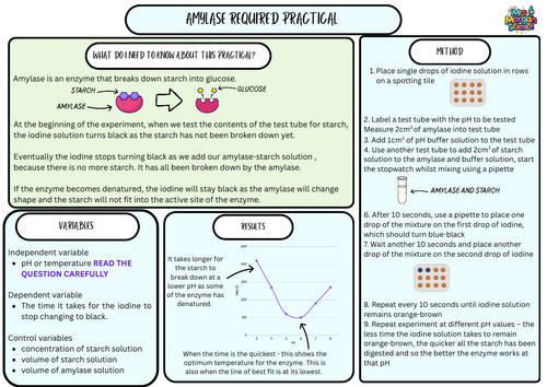 Amylase Enzyme Required Practical Summary