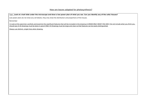 AQA GCSE Biology - B4 - Plant Organisation