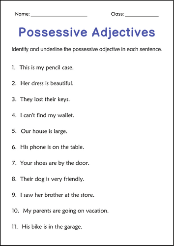 Possessive Adjectives Grammar Activity Worksheets for Grade 2, 3, 4