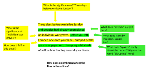 Annotated Poppies by Jane Weir