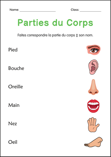 Human Body Parts Worksheets in French - Feuilles de Travail Sur les Parties du Corps Humain