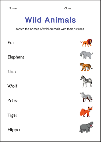 Printable Wild Animals Activities Worksheets for Grade 2, 3, 4