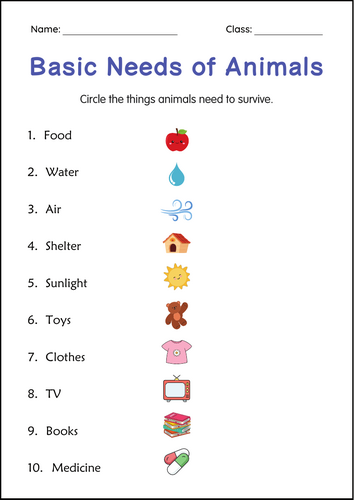 Basic Needs of Animals Worksheet - Taking Care of Animals Activities for grade 1