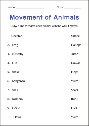 Printable Movements of Animals Activity Worksheets for Grade 1, 2, 3