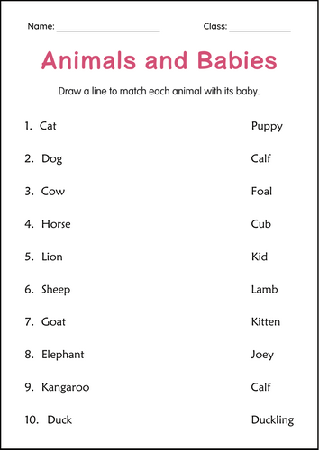 Animals and Their Babies Worksheets - Mother and Baby Animals for Grade 2, 3, 4