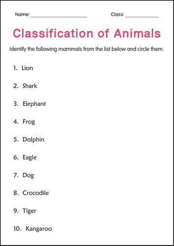 Printable Classification of Animals Activity Worksheets for Grade 2, 3, 4