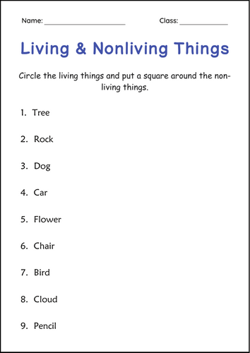 Printable Living Things and Non Living Things Activity Worksheets for Grade 3, 4