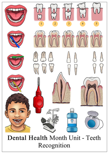 Teeth & Dentistry Reading Comprehension Worksheets
