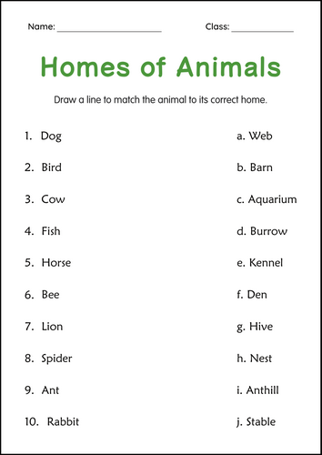 Homes of Animals Activity Worksheets for Grade 2, 3, 4 - Animals and Their Homes