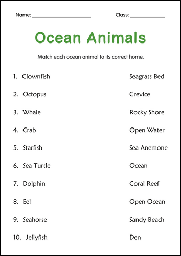 Printable Ocean Animals Activity Worksheets for Grade 2, 3, 4 - Sea Animals