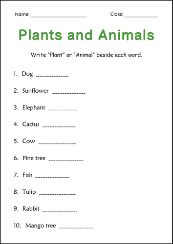 Plant vs Animal - Plants and Animals Activity Worksheets for Grade 2, 3, 4