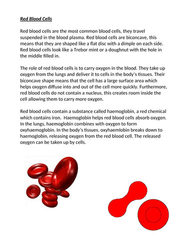 AQA GCSE Biology - B4 - Components of Blood