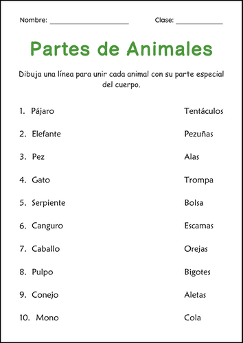 Body Parts of Animals Worksheets in Spanish - Partes Del Cuerpo de los Animales