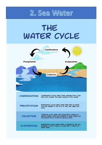Cambridge IGCSE Marine Science (0697) Chapter 2 -Complete Theory Notes, Lecture method notes