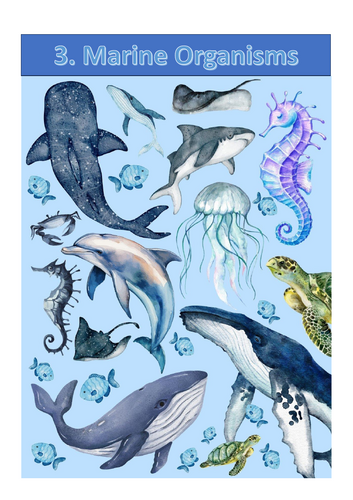 Cambridge IGCSE Marine Science (0697) Chapter 3-Complete Theory Notes, Lecture method notes