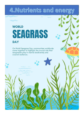 Cambridge IGCSE Marine Science (0697) Chapter 4-Complete Theory Notes, Lecture method notes