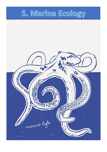 Cambridge IGCSE Marine Science (0697) Chapter 5-Complete Theory Notes, Lecture method notes