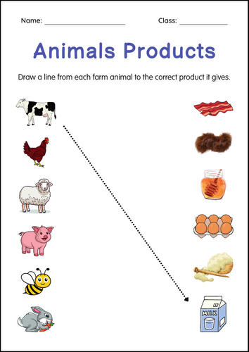 Printable Farm Animals and Their Products Activity Worksheets for Grade 1, 2, 3