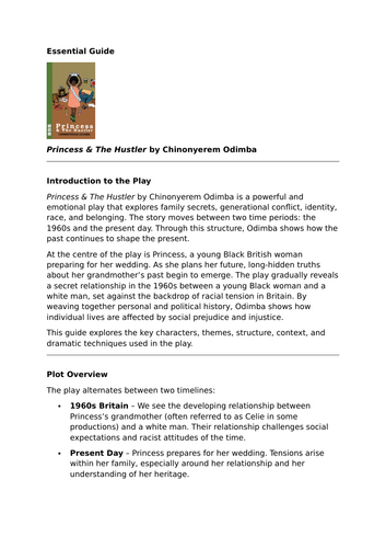 Princess & The Hustler by Chinonyerem Odimba – Essential GCSE Revision Guide