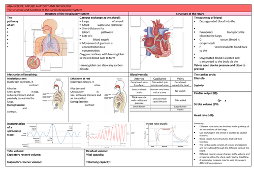 AQA GCSE PE Knowledge organiser CardioRe
