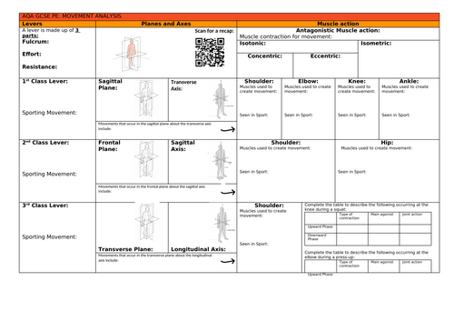 AQA GCSE PE knowledge organiser movement
