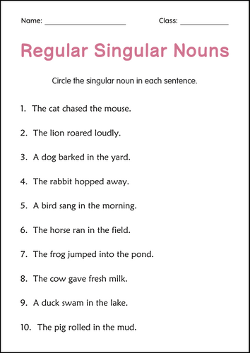 Printable Regular and Irregular Singular Nouns Grammar Worksheets for Grade 2, 3