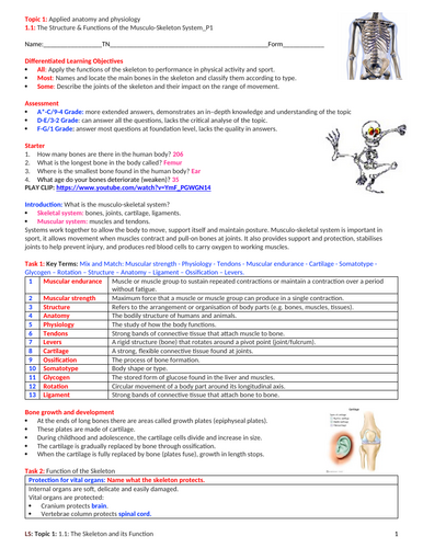 GCSE PE (Spec 2016 Edexcel) Topic 1: 1.1: Structure & Functions of the Musculo-Skeleton System_P1