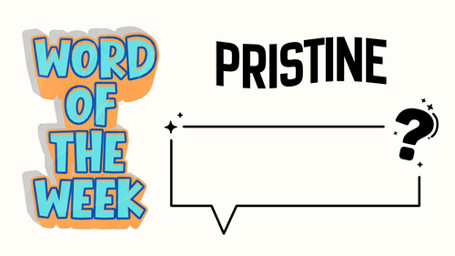 WORD OF THE WEEK: Pristine