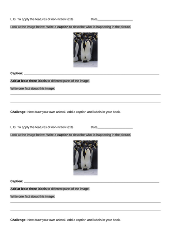 Non Chronological report activities and planning Y2