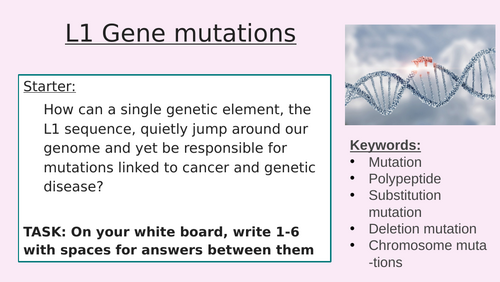 3.4.3 L1 Gene mutation (AQA A-level Biology)