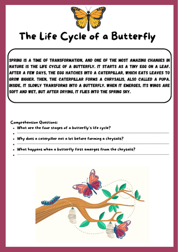 Spring Reading Passages Activities | Comprehension Worksheets