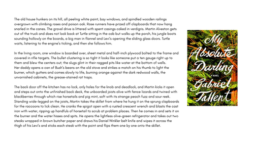 Unseen Fiction Extract and Worksheet: My Absolute Darling